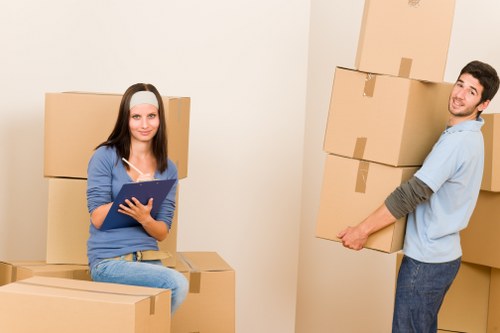 Organized storage boxes and seasonal belongings in Wallington